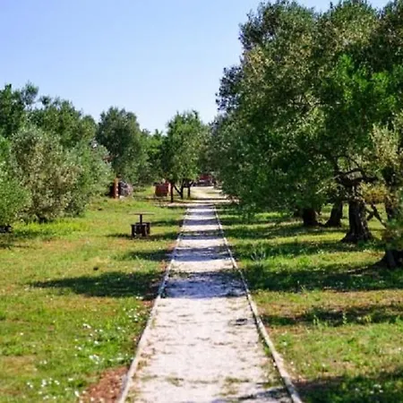 Апартаменты Seaside Secluded Biograd Na Moru, Biograd - 12827