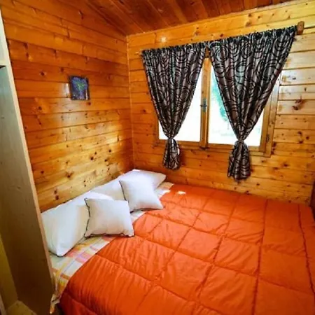 Апартаменты Seaside Secluded Biograd Na Moru, Biograd - 12827