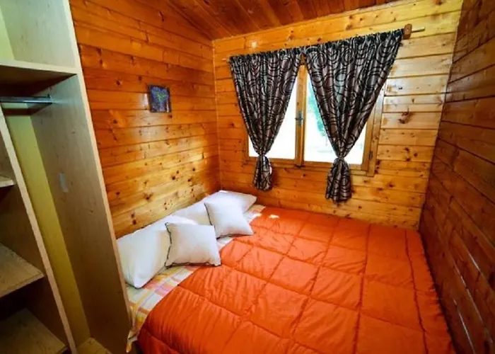 Apartman Seaside Secluded Biograd Na Moru, Biograd - 12827