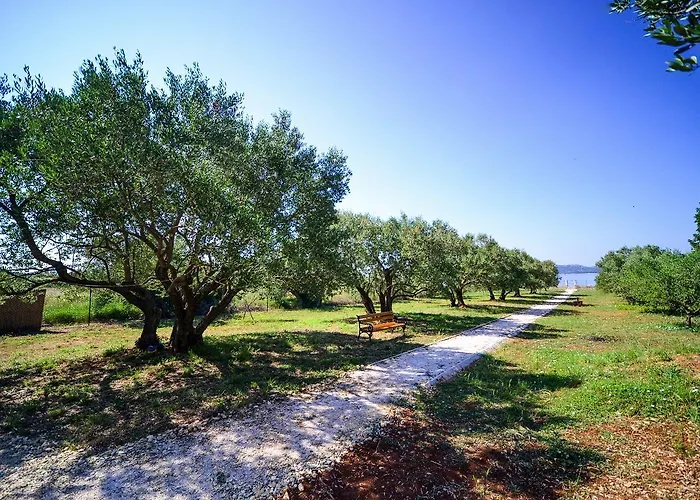 Seaside Secluded Biograd Na Moru, Biograd - 12827 * Biograd Na Moru